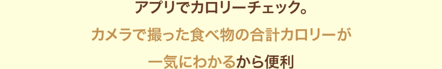 アプリでカロリーチェック。カメラで撮った食べ物の合計カロリーが一気にわかるから便利